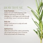 Mielle Organics Rosemary Mint Hair Growth Oil 59ml - Image 3