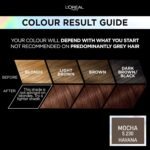 L'Oreal Paris Preference Permanent Hair Color, Mocha 5.23 - Image 2