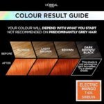 L'Oreal Paris Preference Permanent Hair Color,Electric Mango 7.46 - Image 2
