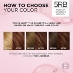 L'Oréal Paris Excellence Crème – 5RB Medium Reddish Brown - Image 2