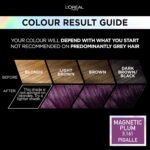 L'Oreal Paris Preference Permanent Hair Color,Magnetic Plum 3.16 - Image 2