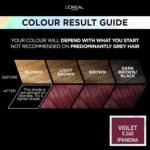 L'Oréal Paris Preference Permanent Hair Color,Purple 5.26 - Image 2