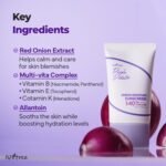 ISNTREE Onion Newpair Sunscreen SPF 40 50ml - Image 2
