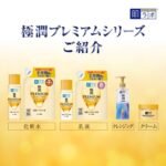 Hada Labo Gokujyun Premium Hyaluronic Cream – 50g - Image 4