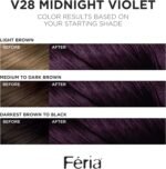 L’Oréal Paris Feria Permanent Hair Color – V28 Deepest Violet - Image 2