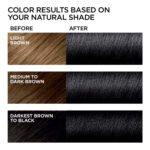 L'Oréal Paris Feria Permanent Hair Color – Natural Black 20 - Image 2
