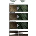 L'Oréal Colorista Green Hair Color 80ml - Image 2