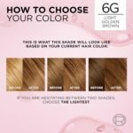 L'Oréal Paris Excellence Hair Color – 6G Light Golden Brown - Image 2