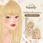 KOTA Cosmetics Hair Color Cream – Sandy (Soft Blonde) - Image 2