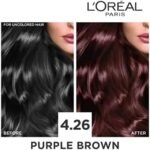 L'Oréal Paris Excellence Crème Hair Color – 4.26 Purple Brown - Image 2