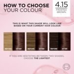 L'Oréal Paris Excellence Hair Color – 4.15 Dark Frosted Brown - Image 2